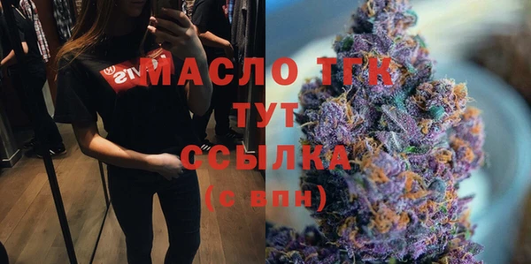 бошки Бородино
