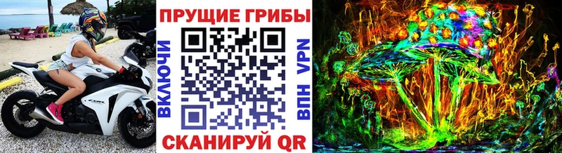 Псилоцибиновые грибы прущие грибы  Горбатов 